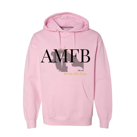 Luke 2:49 - Unisex Hoodie